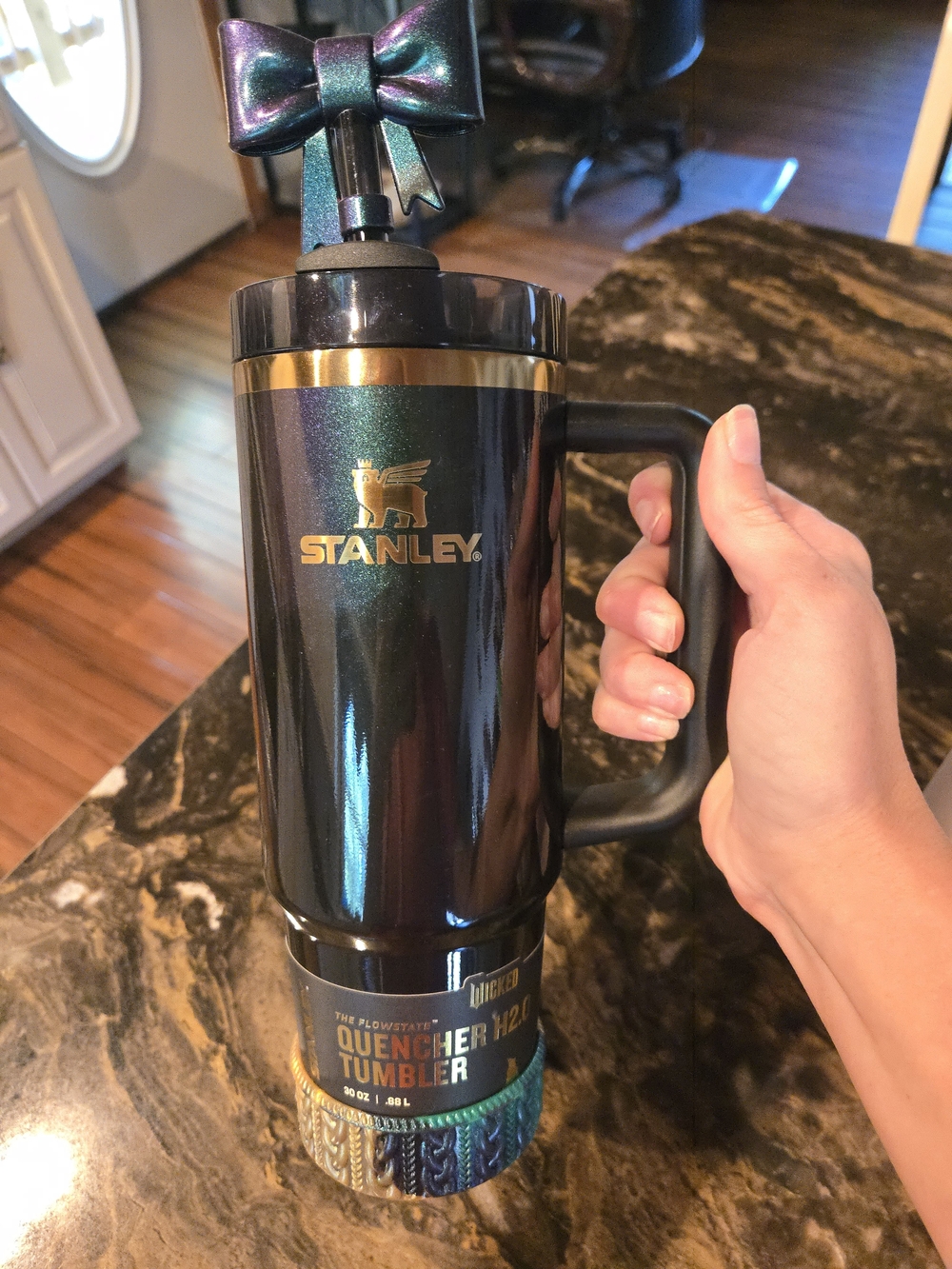 Elphaba 2025 30oz Stanley